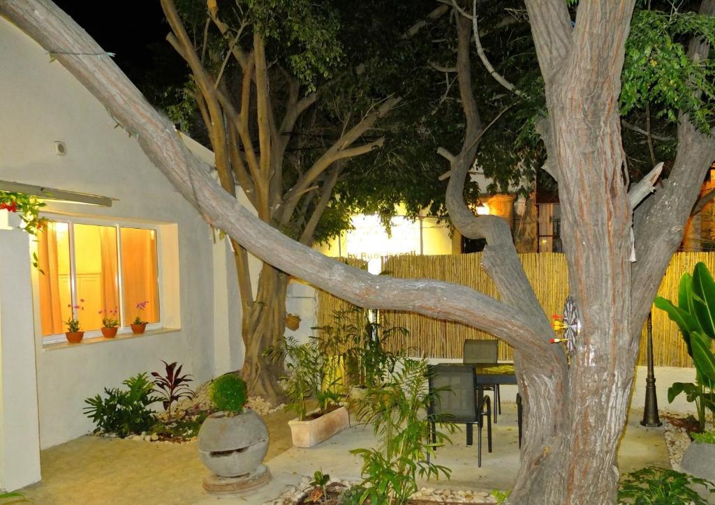 Levy - Neve Tzedek Tel Aviv
